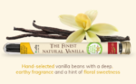 Premium Gourmet Grade A Vanilla Pods | 15 cm+ | 2 Pods - Image 3