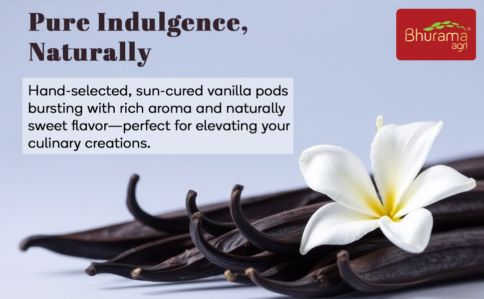 Vanilla Pod01 (1) Premium Vanilla Bean Pods (Grade A | 17–22 cm | 100g, 20–25 Pods) - Image 4