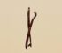 Crossed vanilla bean pods on a warm background
