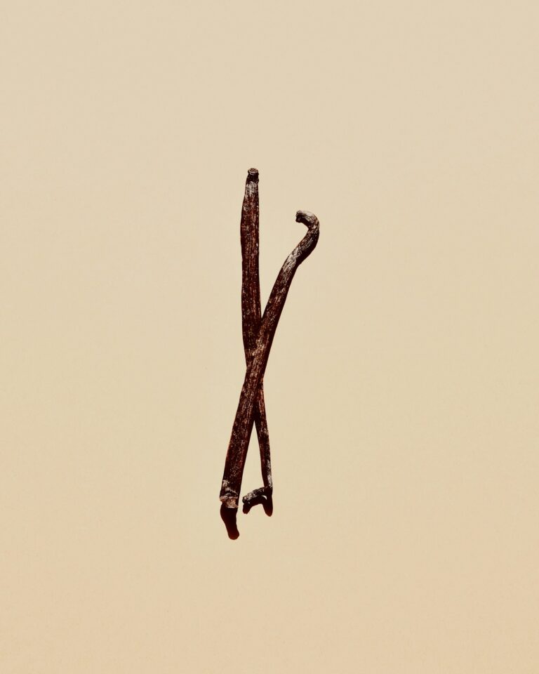 Crossed vanilla bean pods on a warm background