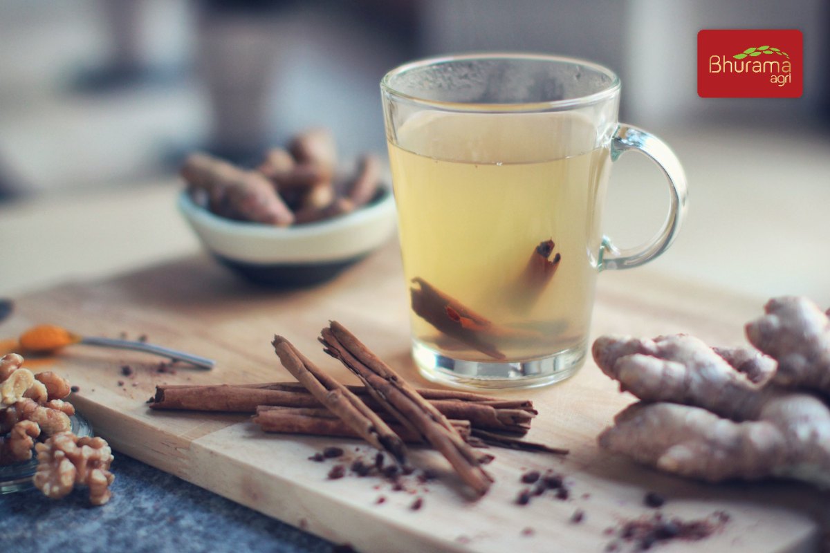 Cup of cinnamon tea with cinnamon sticks