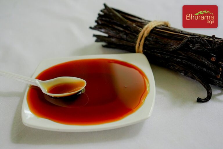 Vanilla extract in a dish with a bundle of vanilla pods